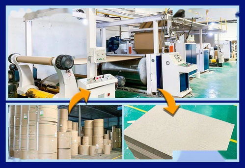 探秘合興包裝東北子公司 瓦楞紙箱全流程生產實錄